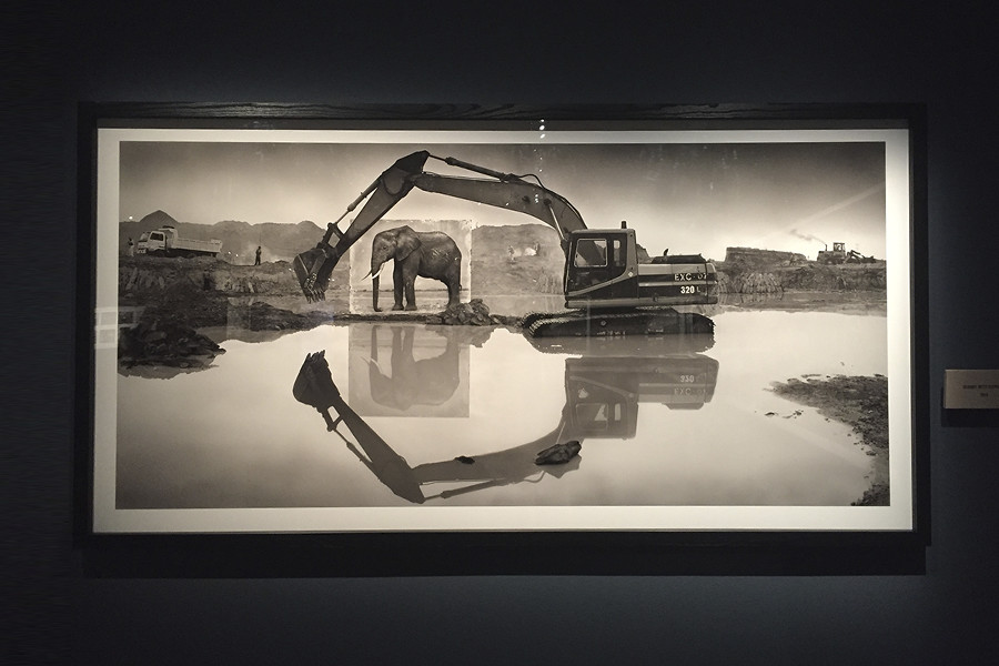 展示写真